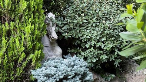 Photo 5 of House or chalet for sale in Bellatrix, Aravaca, Madrid