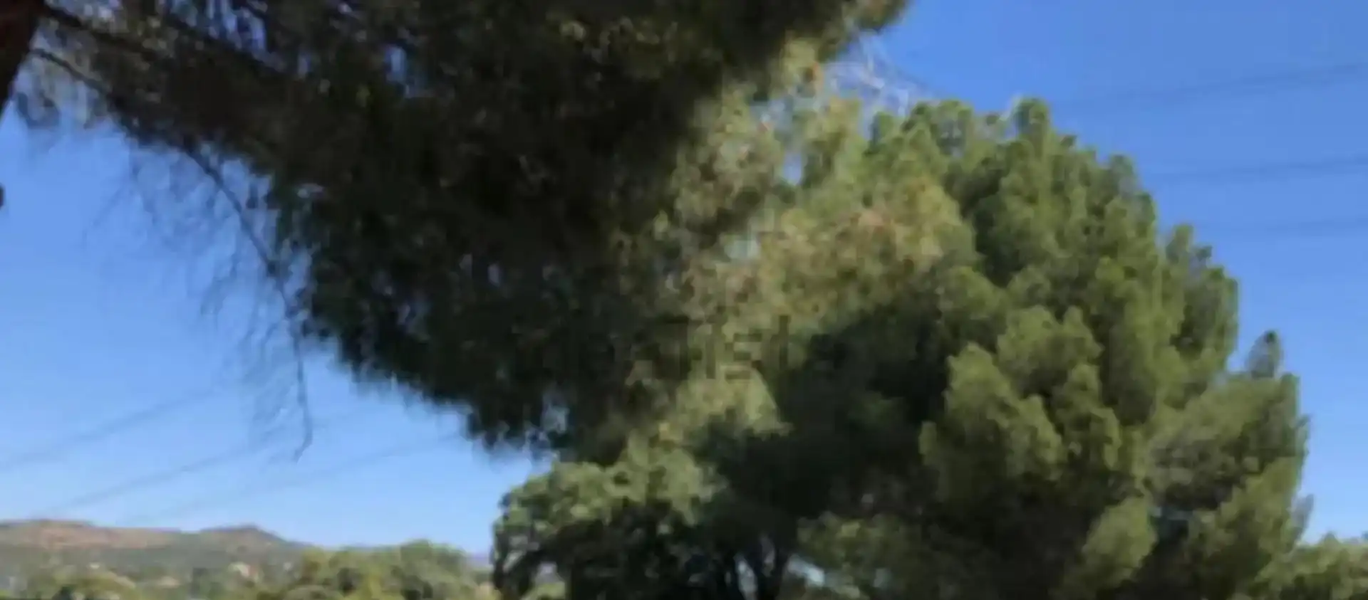 Vista exterior de Finca rústica en venda en Las Rozas de Madrid