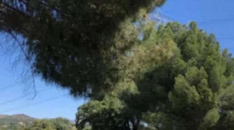 Foto 5 de Finca rústica en venda a M-505, 10, La Cañadilla, Las Rozas de Madrid