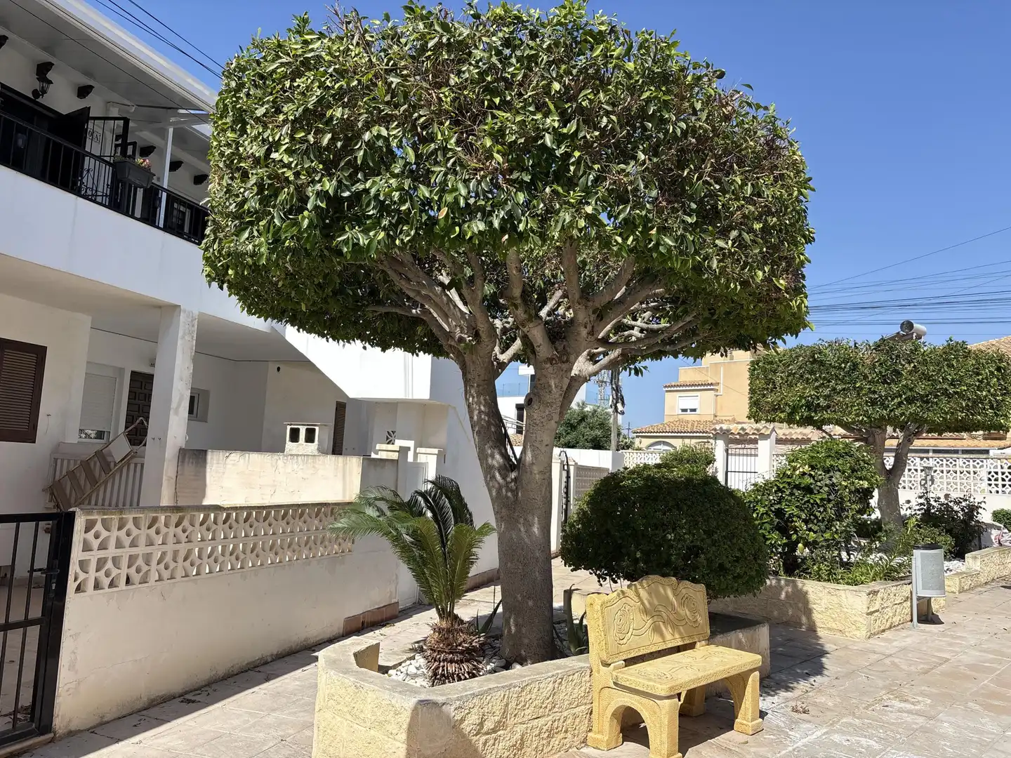 Garten von Wohnungen zum Verkauf in Torrevieja mit Klimaanlage, Terrasse und Gemeinschaftspool