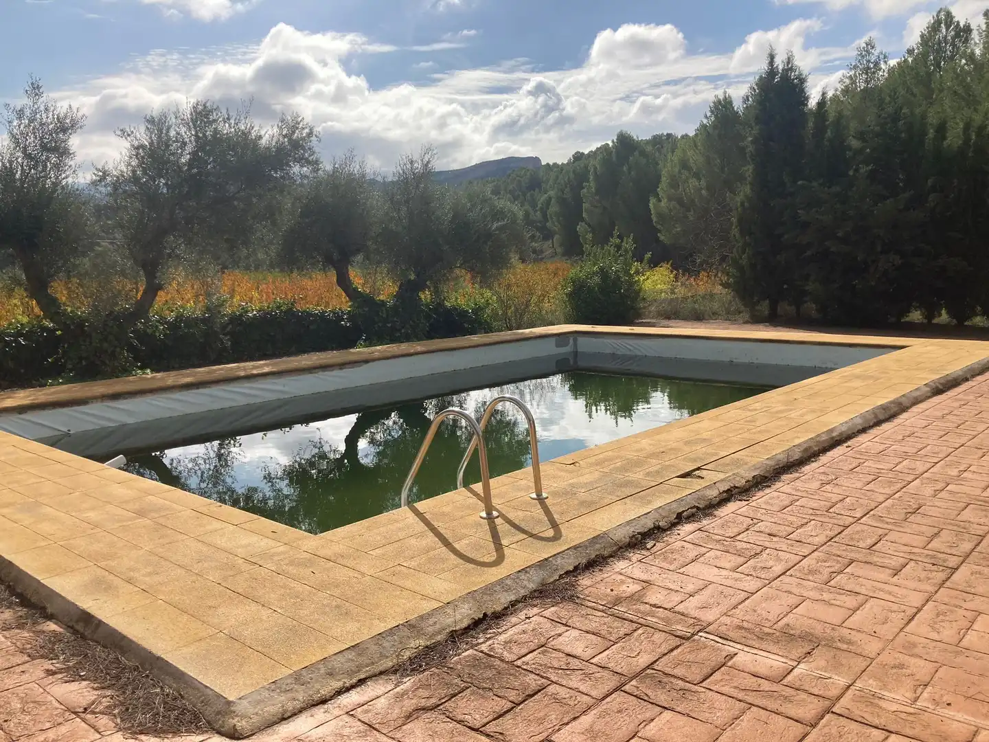 Casa rústica amb piscina en venda a Cieza, imagen 2