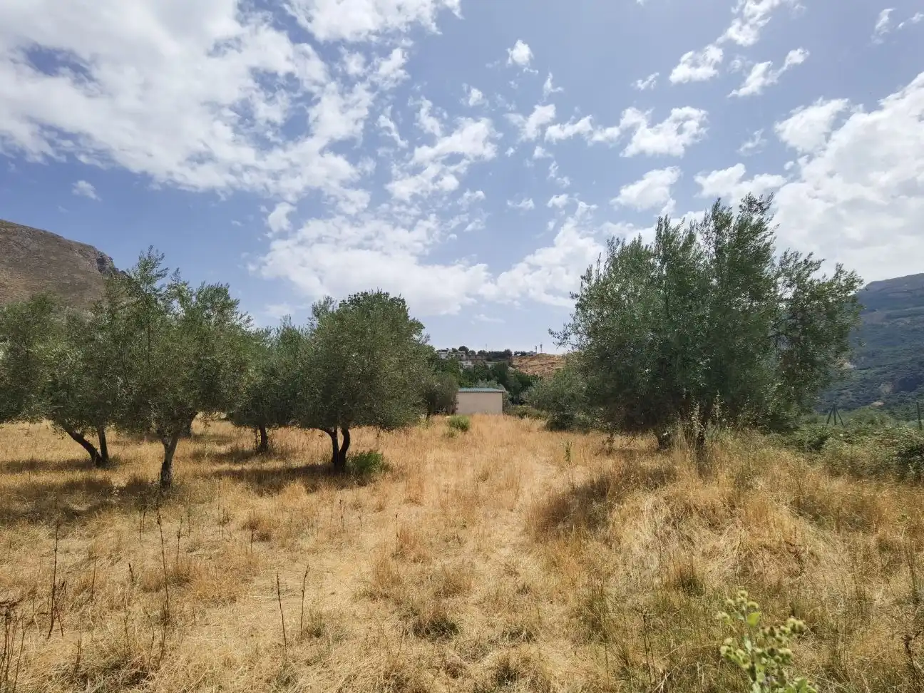 Chalet con piscina en venta en Calle Ventorillo 13, imagen 11