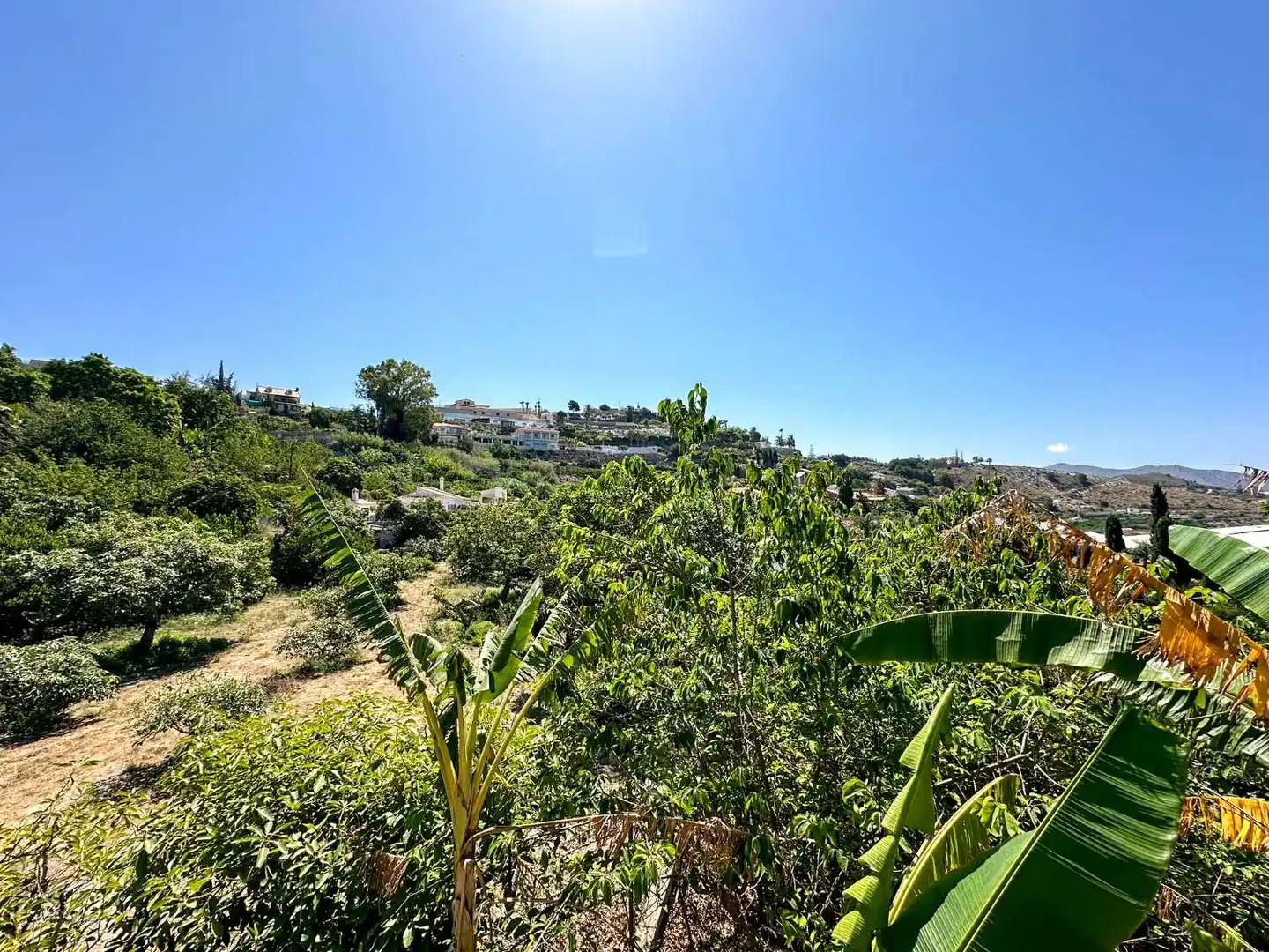 Vista exterior de Casa o chalet en venta en Motril con Calefacción, Terraza y Trastero