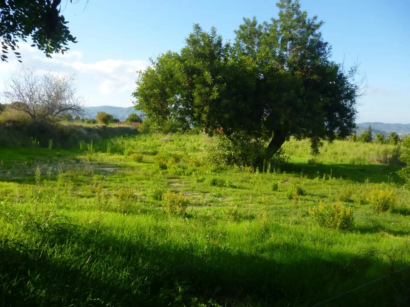 Terreny residencial en venda a Sant Josep - Zona Hospital, imagen 7