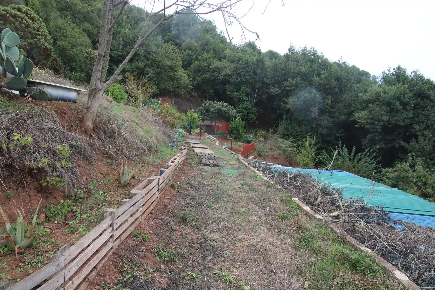 Jardí de Finca rústica en venda en Valleseco