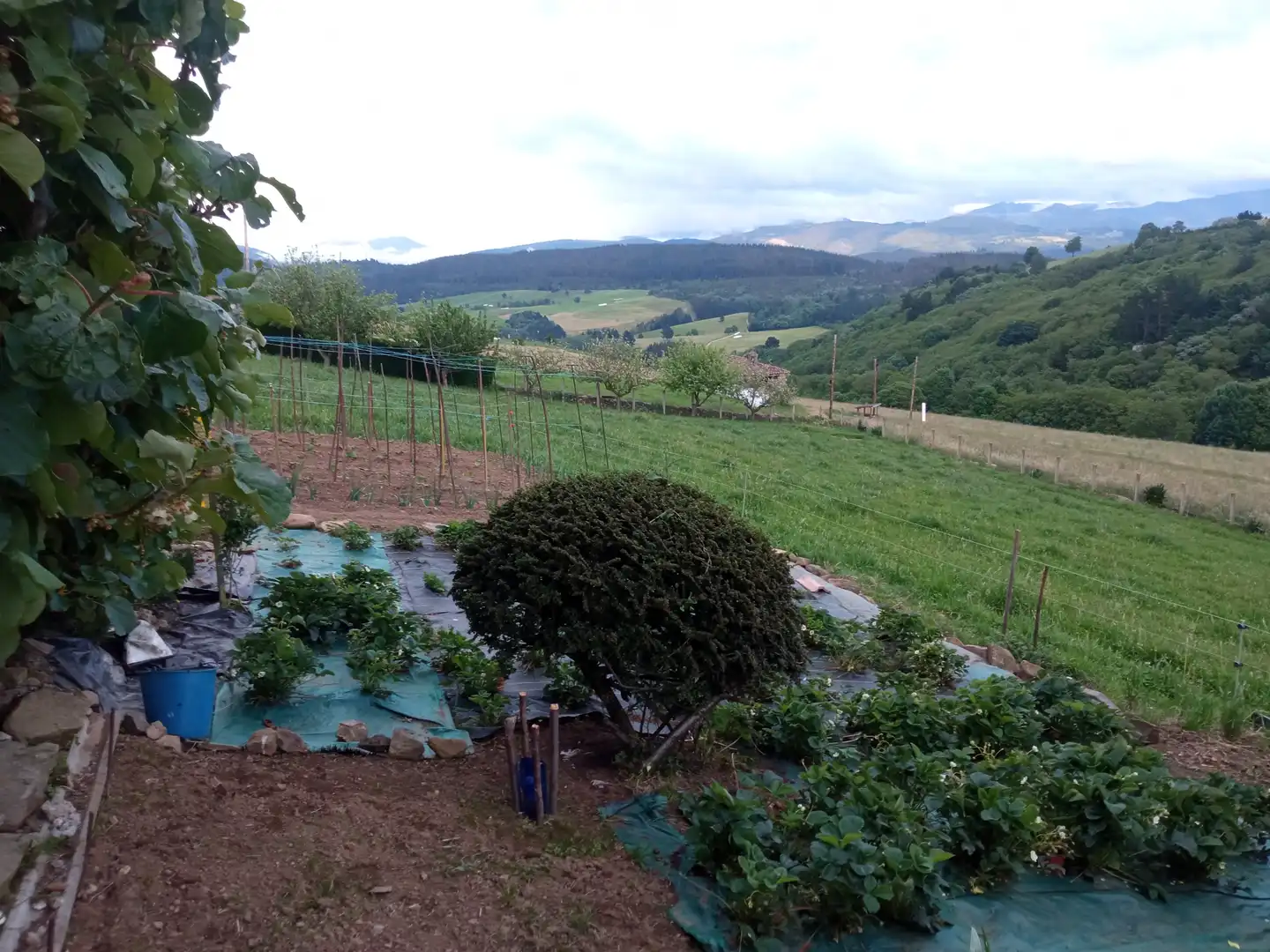 Jardín de Finca rústica en venta en Tineo con Jardín privado, Parquet y Terraza