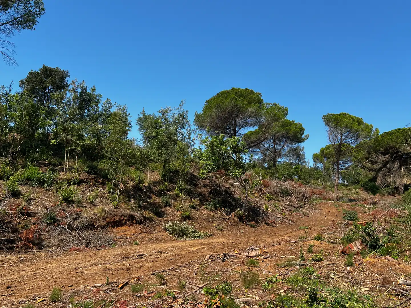 Terreny rústic en venda a Canet de Mar