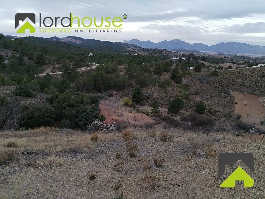Casa o chalet en venta en Lorca
