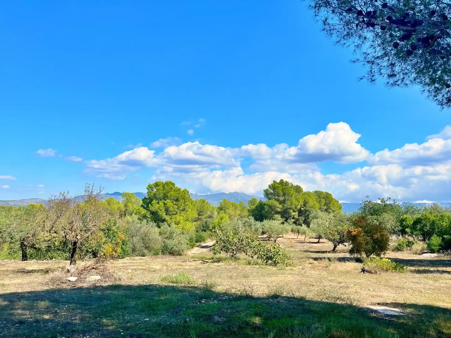 Houses for sale in Aldover