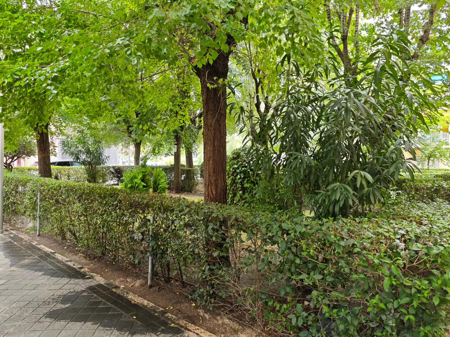 Jardí de Pis en venda en Madrid amb Calefacció i Moblat