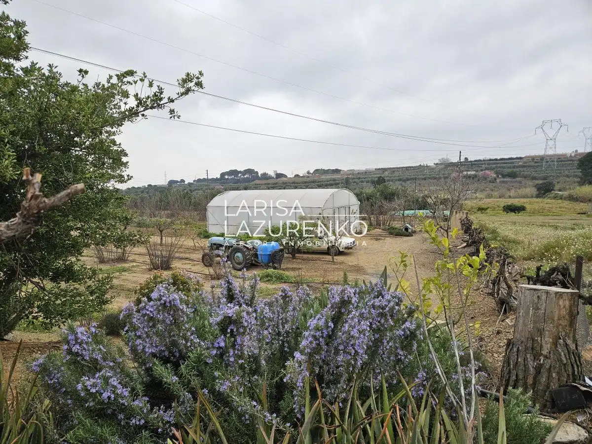 Finca rústica en venda en Riudoms