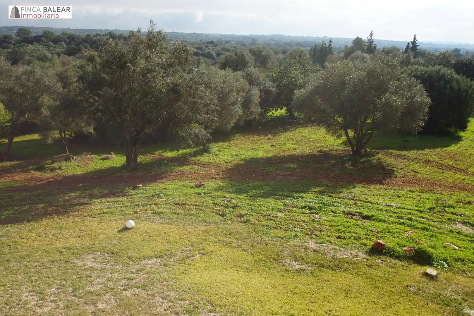 Casa rústica amb jardí de lloguer a Costitx, imagen 25