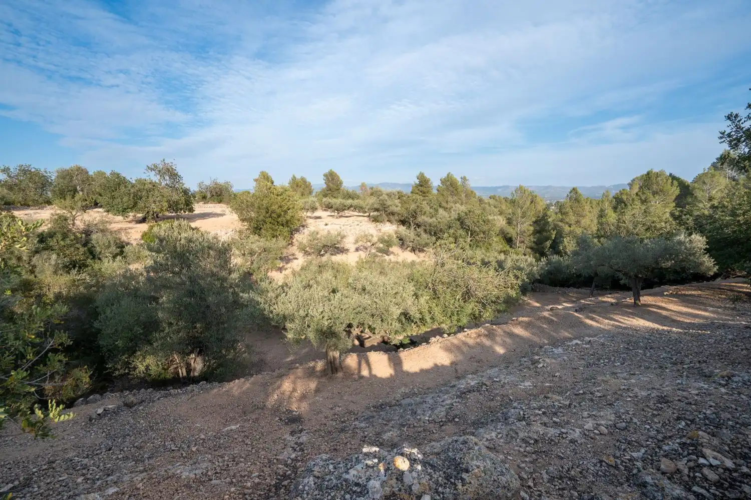 Terreno rustico in vendita a Jesús - Els Reguers, imagen 4