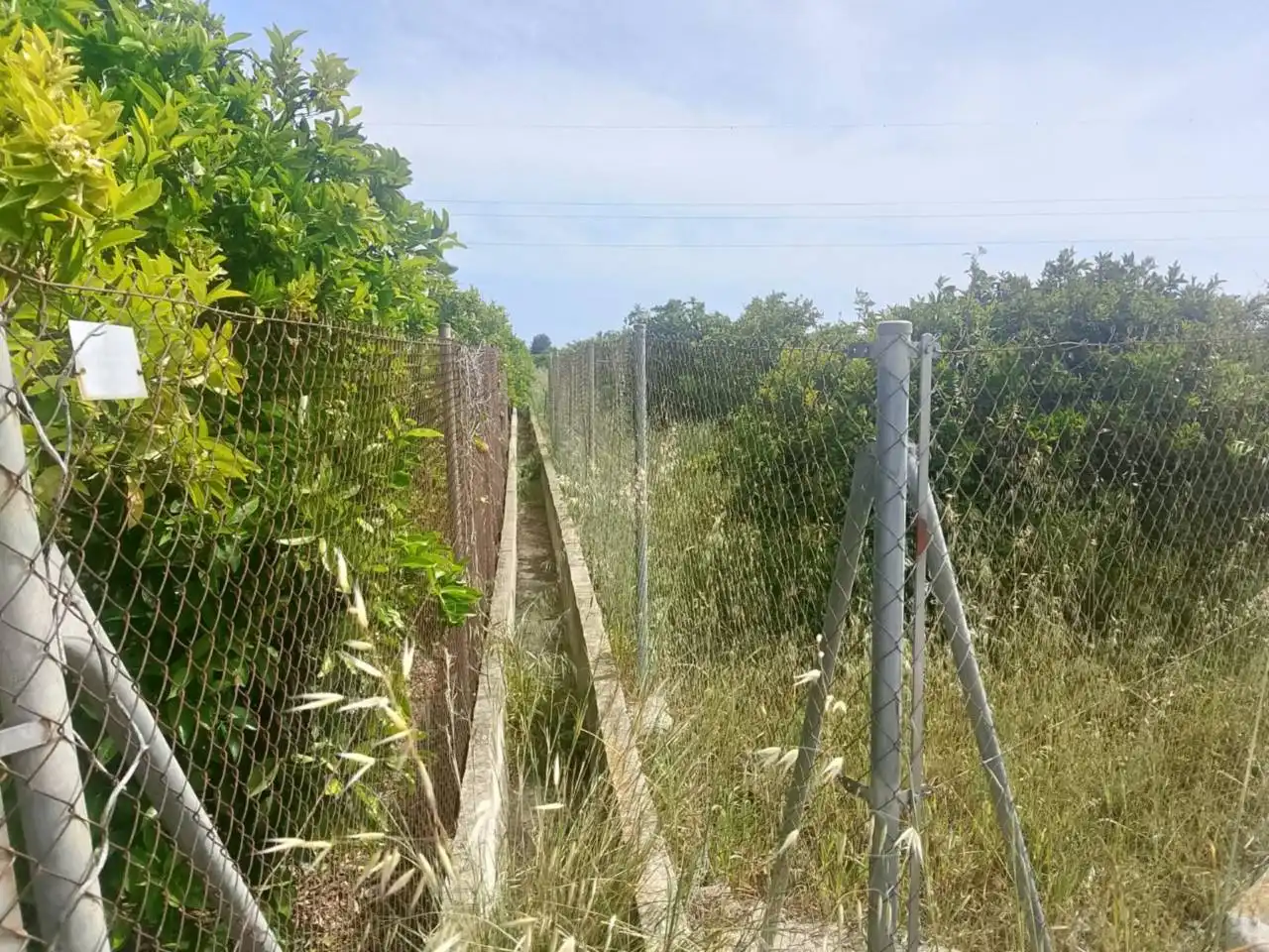 Rural land for sale in Camino Torre de los Pares, imagen 4