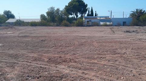Foto 2 de Finca rústica de lloguer a Partida Valverde Alto, 2044, Valverde, Elche / Elx