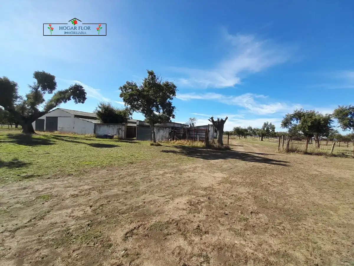 Finca rústica en venta en Carrascal del Obispo