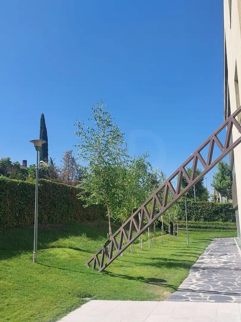 Jardín de Local en venta en Las Rozas de Madrid