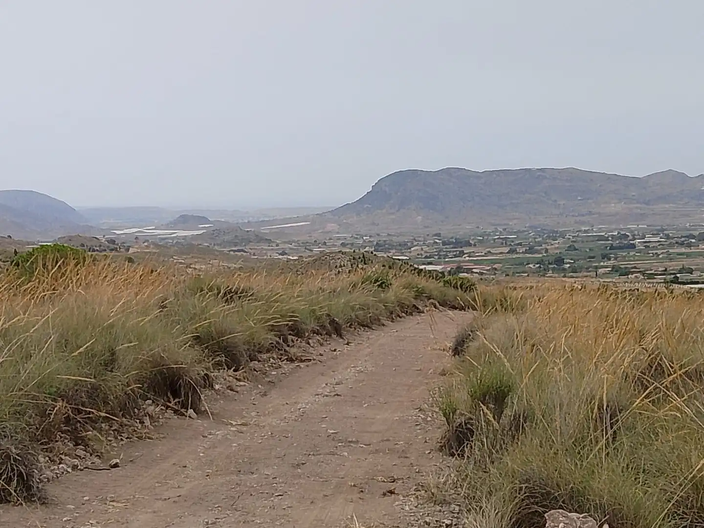 Terreny rústic en venda a Partida Rochet, imagen 18