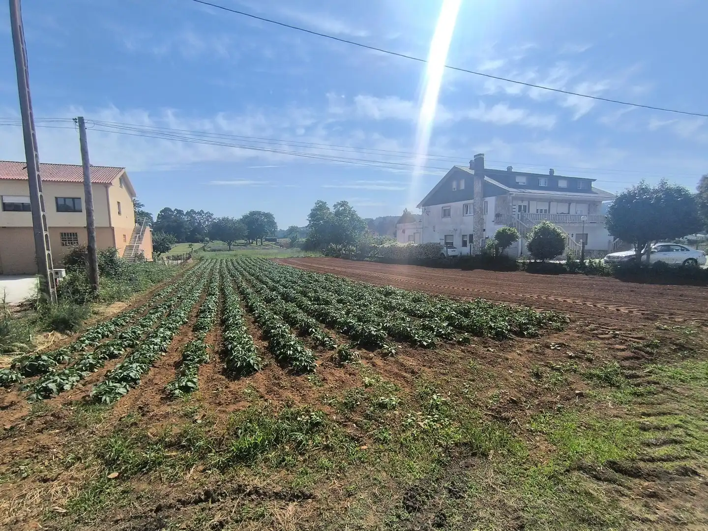 Terreni e lotti in vendita a Travesía SISTO, imagen 2