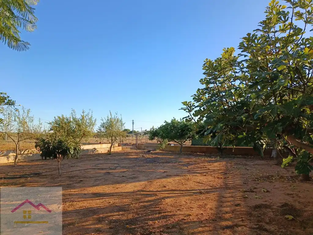 Finca rústica en venda a Calle Poligono 13, Torreblanca