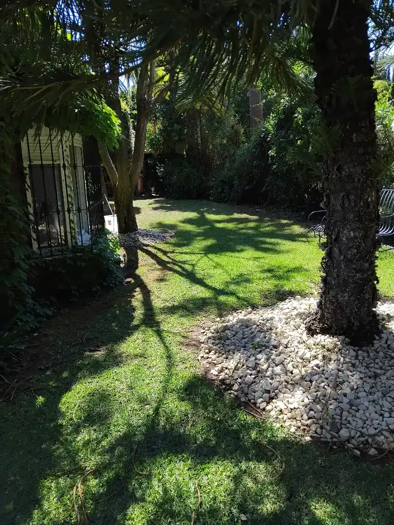 Garden of Houses for rent in Nueva Andalucía