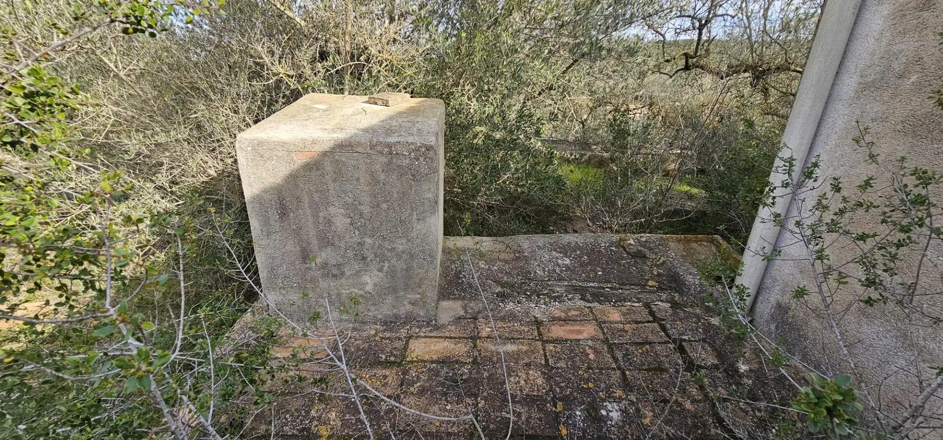 Jardí de Finca rústica en venda en El Perelló