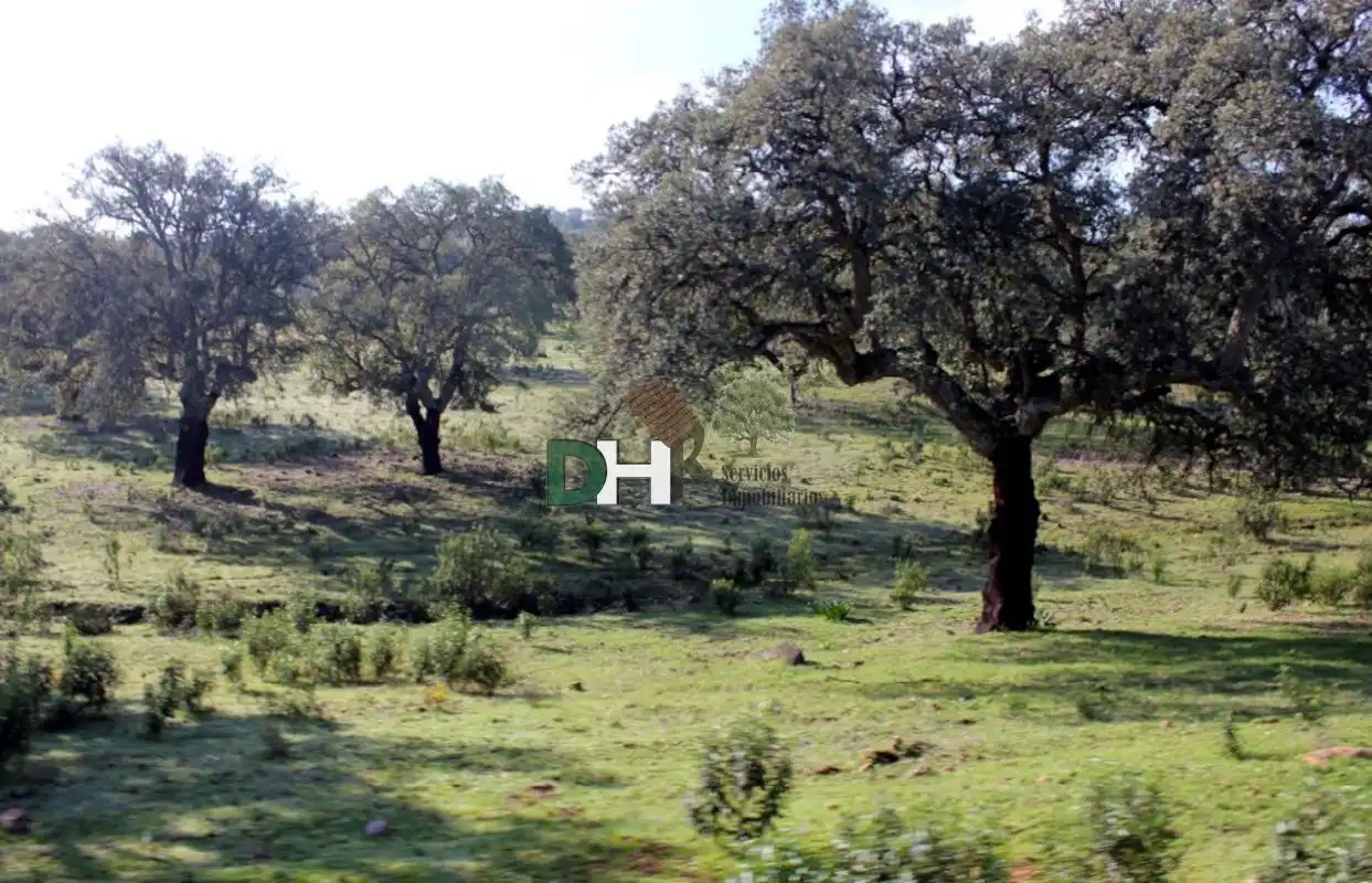 Terreni e lotti in vendita a Ruta de la Plata, imagen 6