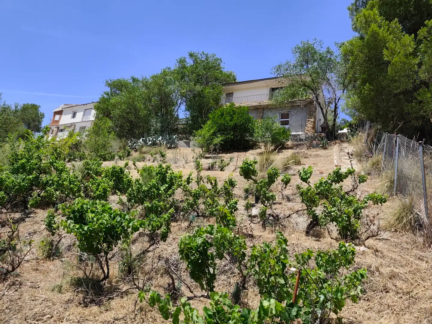 Casa o xalet en venda en Illana amb Jardí privat, Terrassa i Piscina