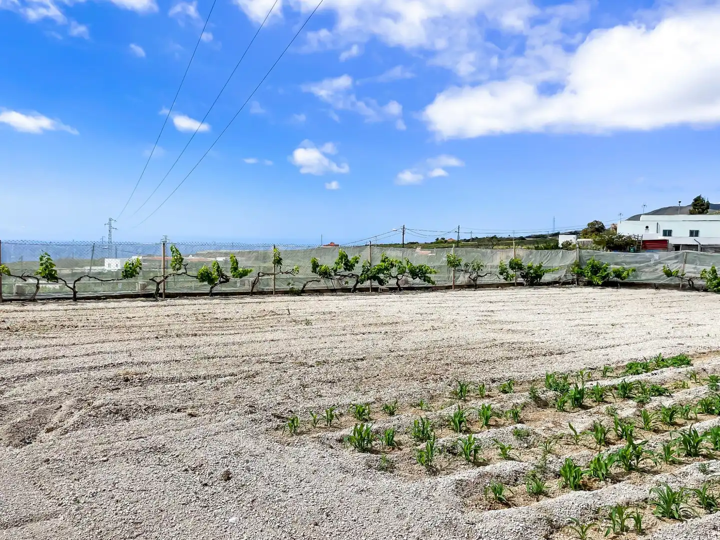 Casa o chalet en venta en Granadilla de Abona con Jardín privado, Terraza y Amueblado