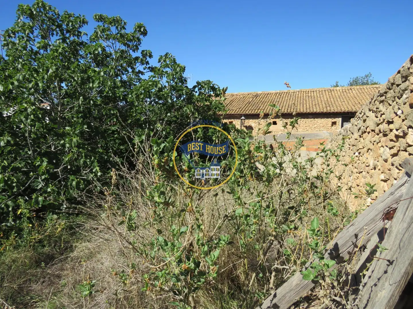 Lands and plots for sale in Montesa, imagen 10