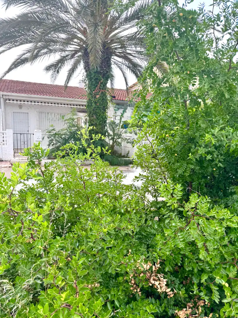 Vista exterior de Casa o xalet en venda en Guardamar del Segura amb Aire condicionat, Calefacció i Terrassa