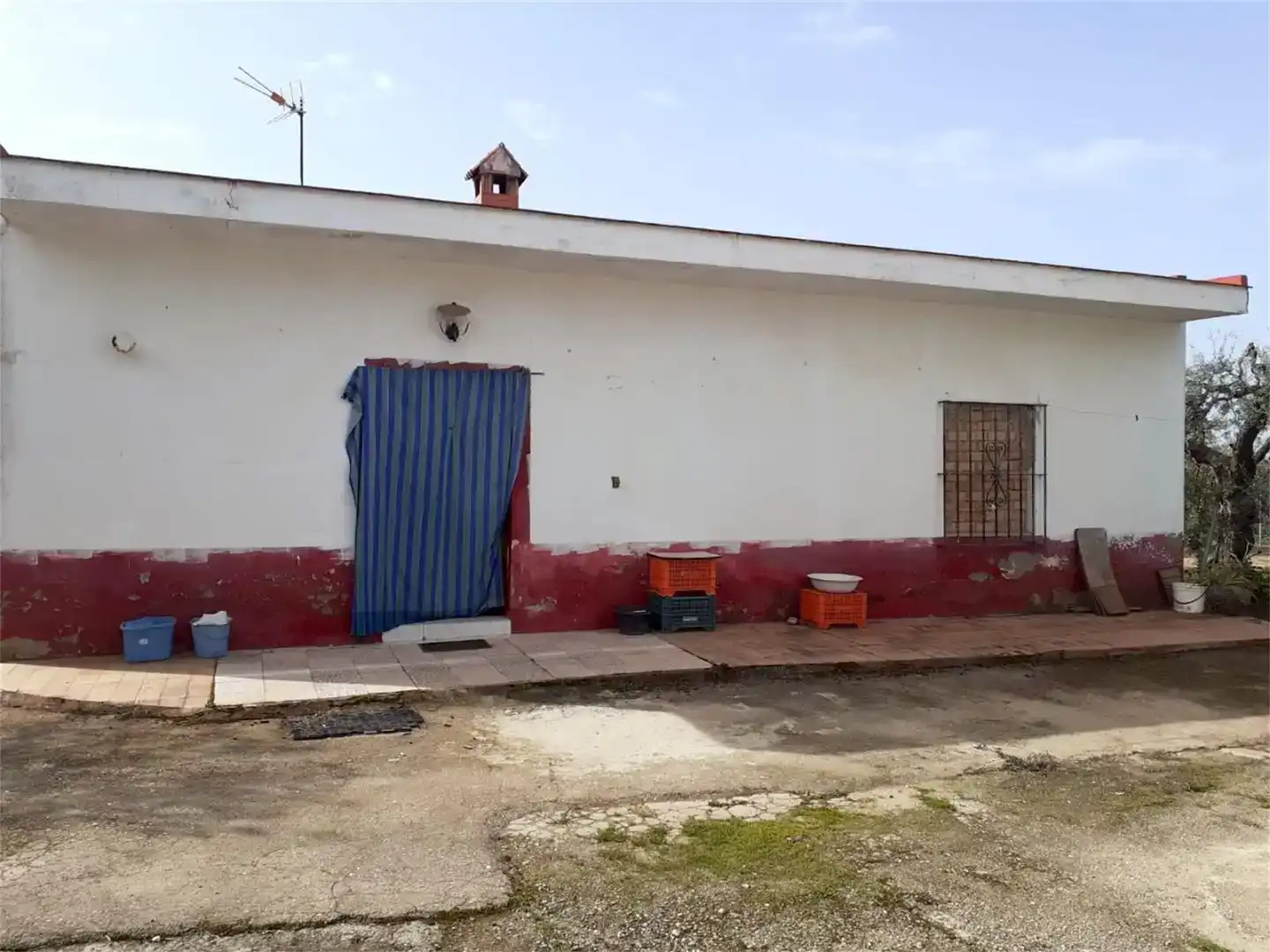 Vista exterior de Finca rústica en venta en Benacazón