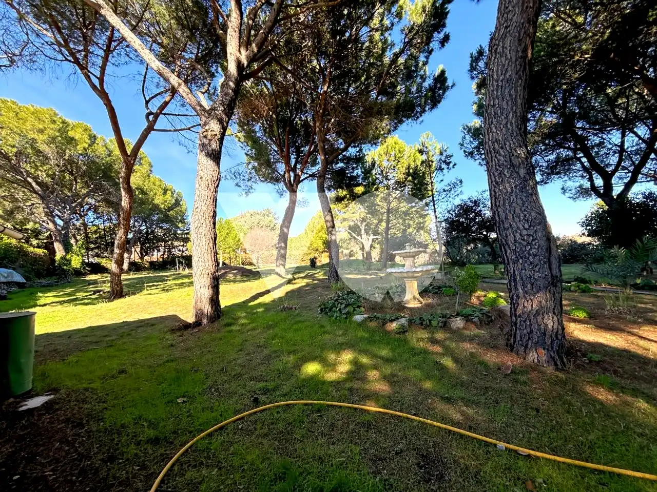 Jardín de Casa o chalet en venta en Ribatejada con Jardín privado, Terraza y Piscina