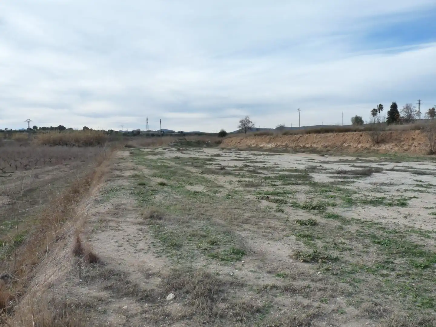 Terreno en venta en Alfarrasí