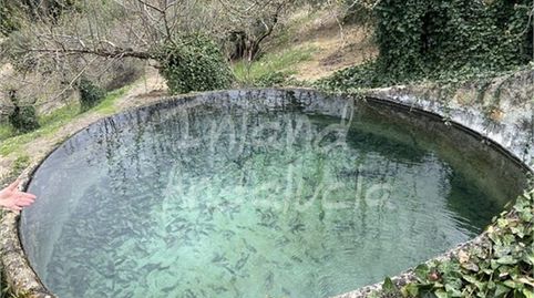Foto 2 de Finca rústica en venda a Alcalá la Real, Jaén
