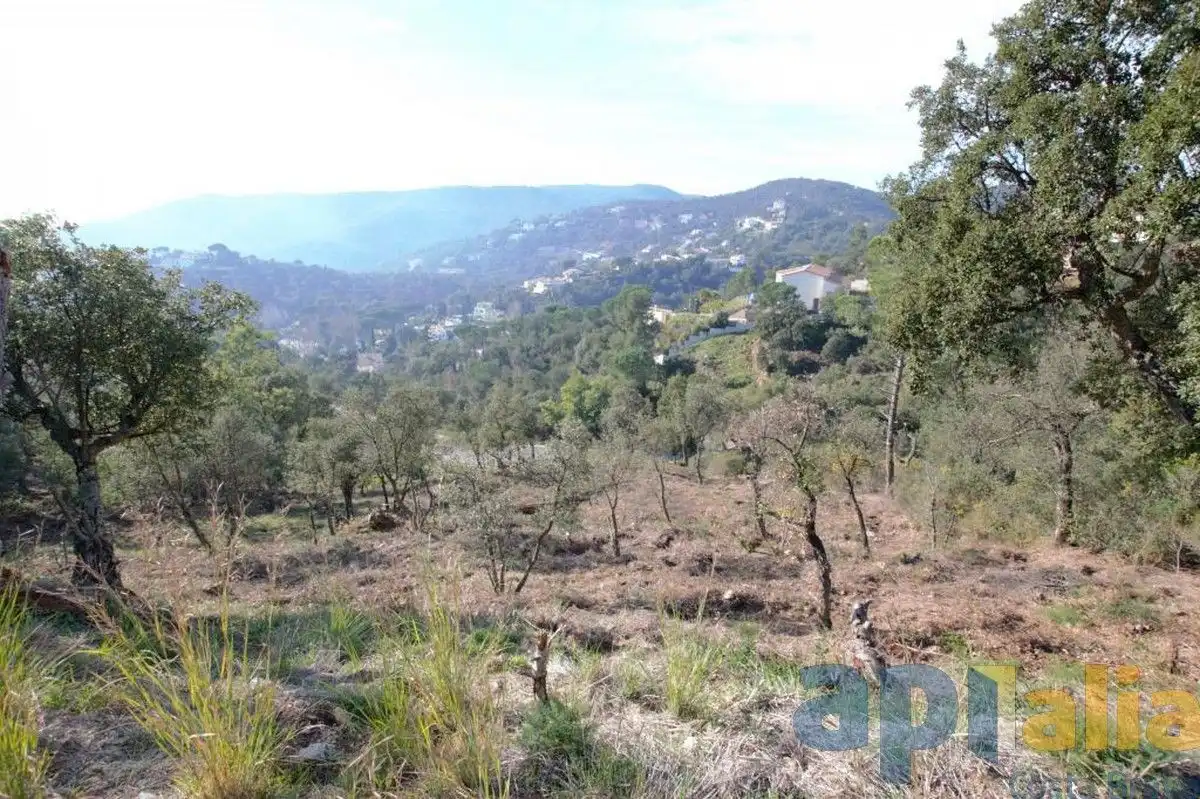 Residential land for sale in Carrer Alzina, imagen 3