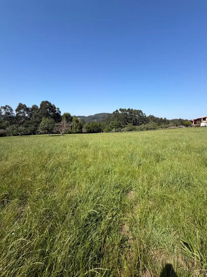 Residencial en venta en Colunga