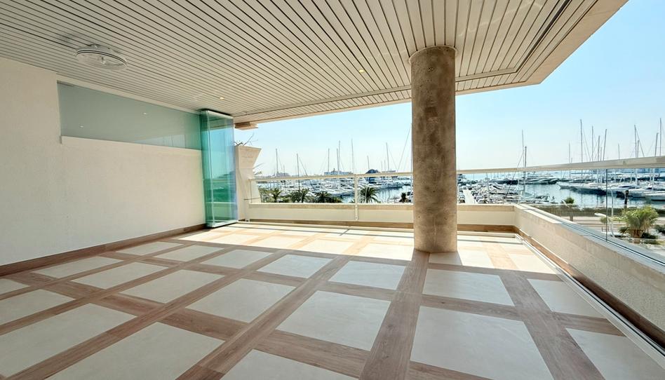 Photo 1 of Flat to rent in Avinguda de Gabriel Roca, El Terreno, Illes Balears
