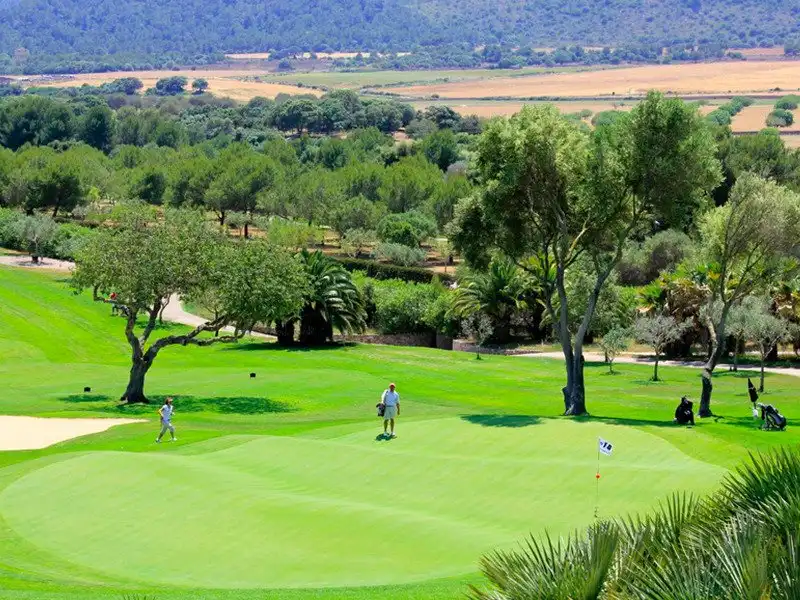 Chalet con terraza en venta en Font de Sa Cala, imagen 41