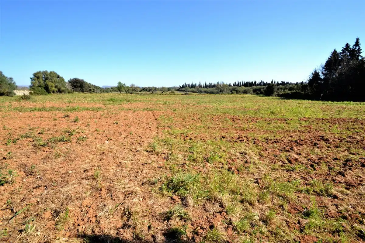 Rural land for sale in Muro, imagen 12