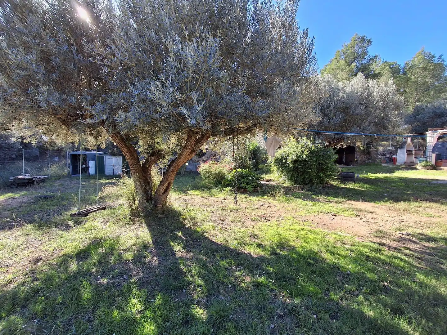 Finca rústica en venda en Móra d'Ebre