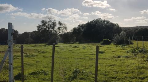 Foto 4 von Country house zur Miete in Medina Sidonia, Cádiz