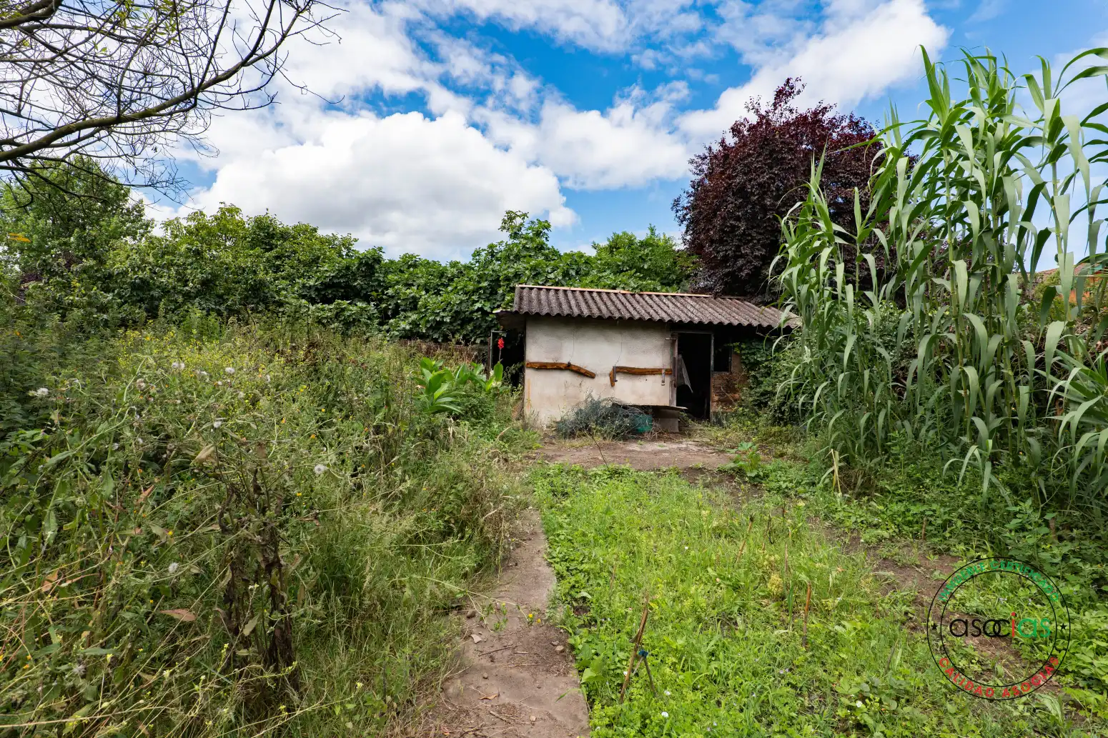Terreno en venta en Gijón 