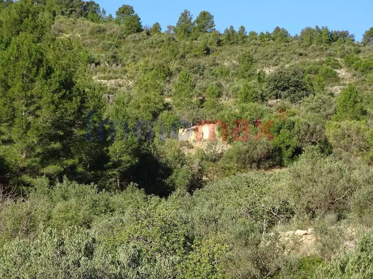 Terrain résidentiel à vendre à Xerta, imagen 12