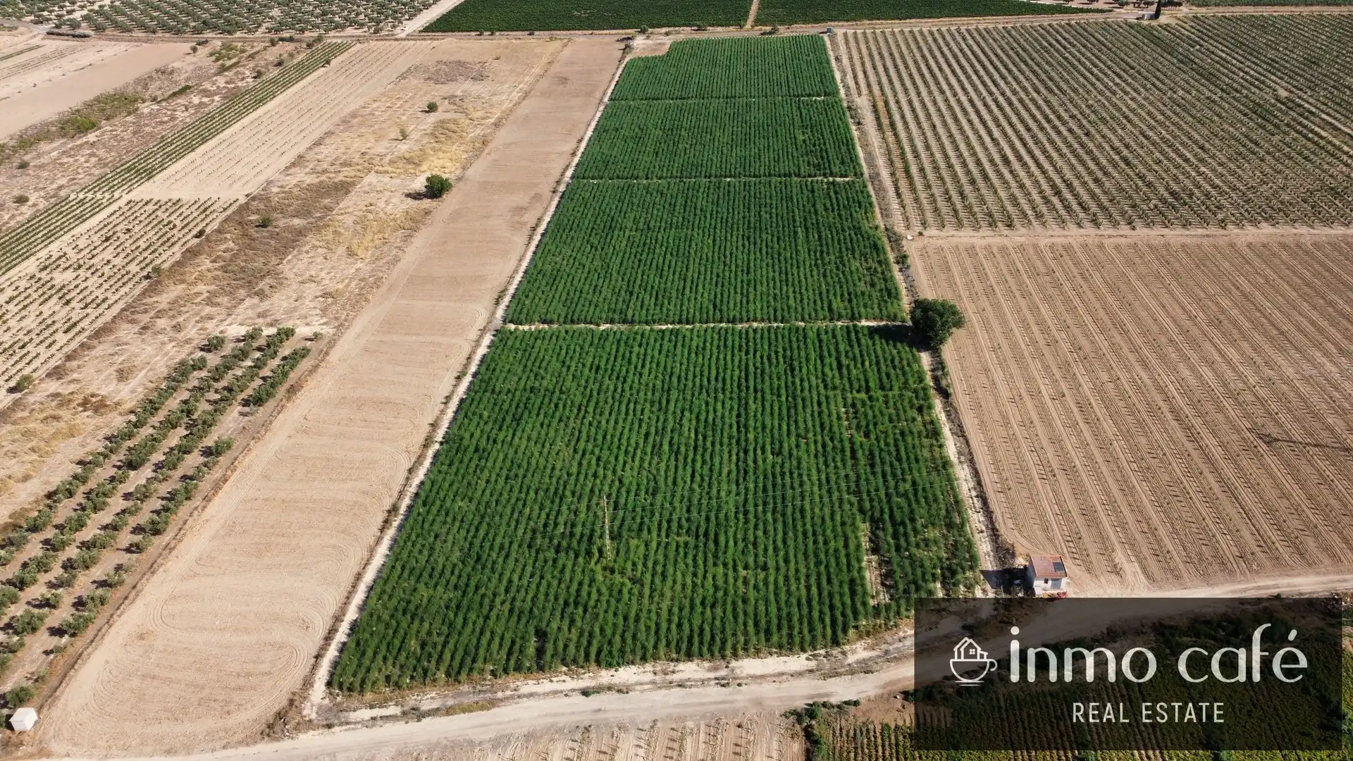 Terreno rustico in vendita a Polígono, imagen 3