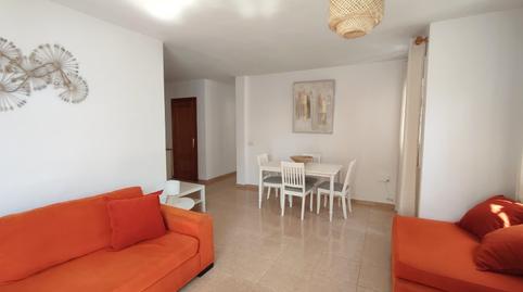 Photo 5 of Apartments for rent in Port de Pollença, Pollença