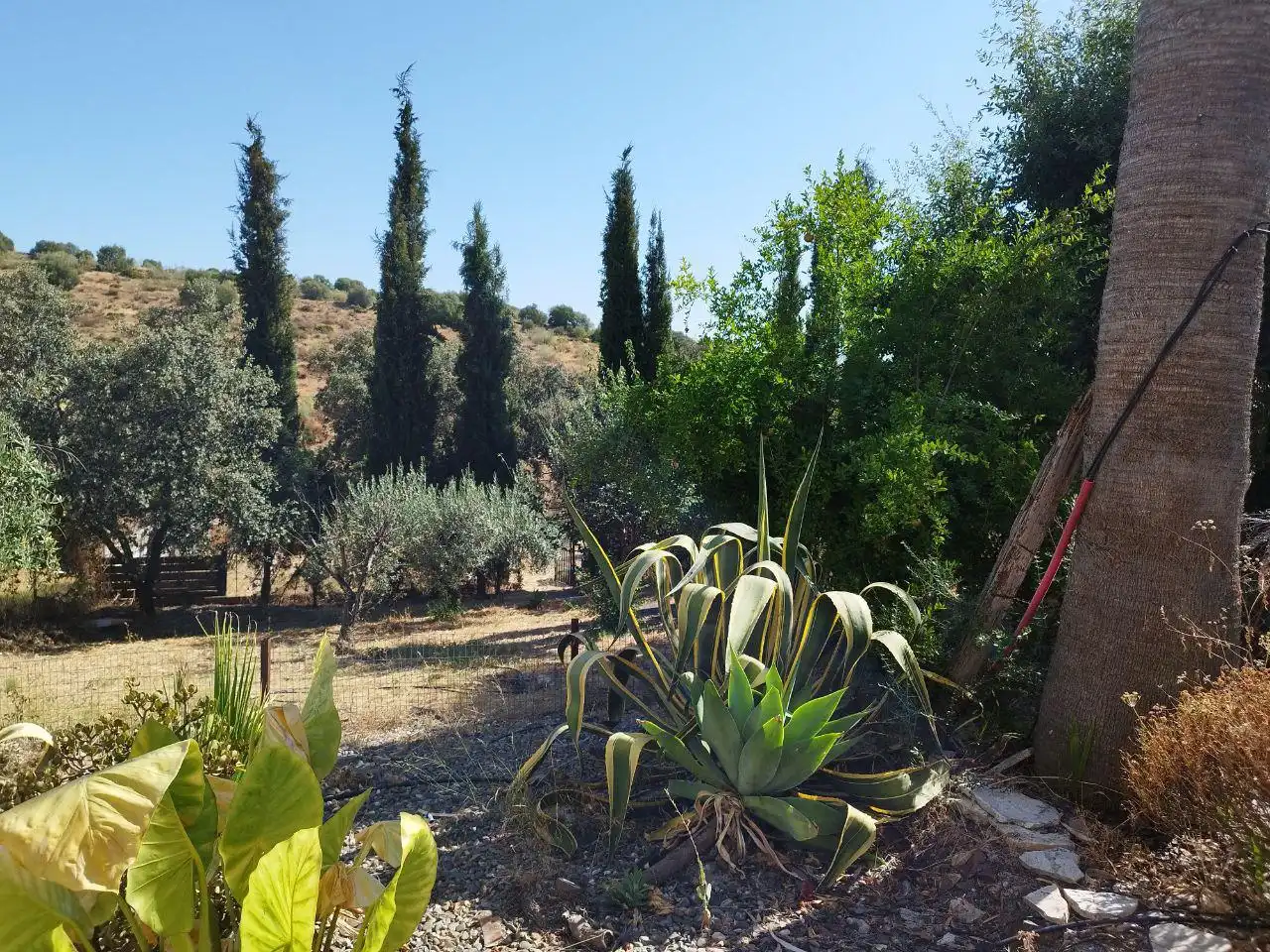 Detached house with garden for sale in El Castillo de las Guardas, imagen 21