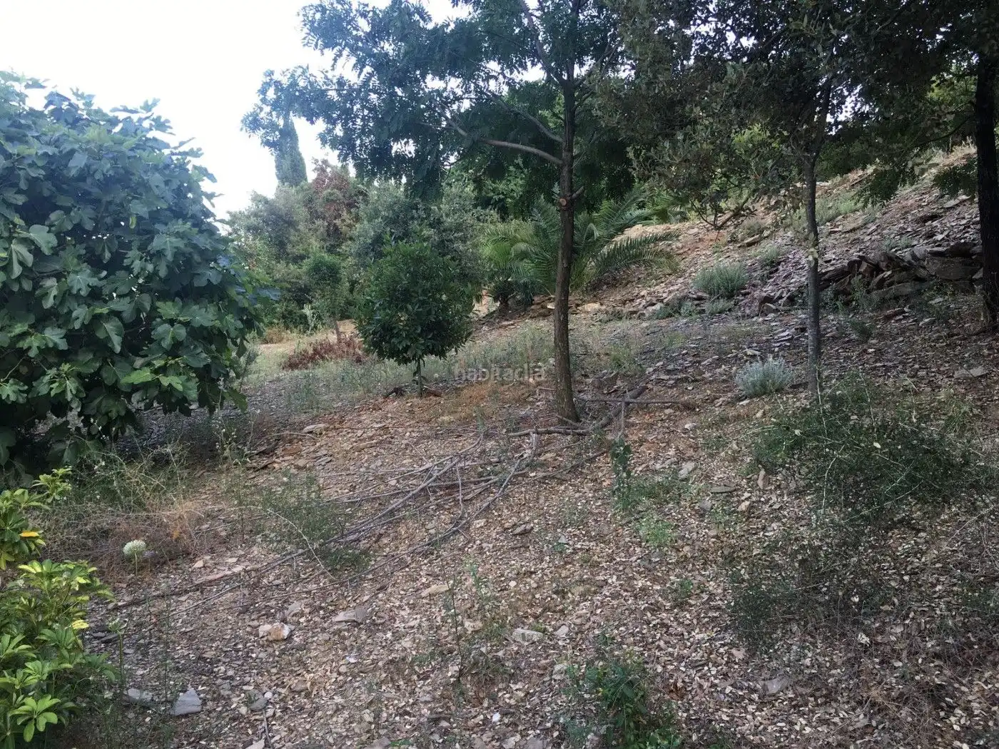 Terreny residencial en venda a Carrer de la Ginesta 42, imagen 11