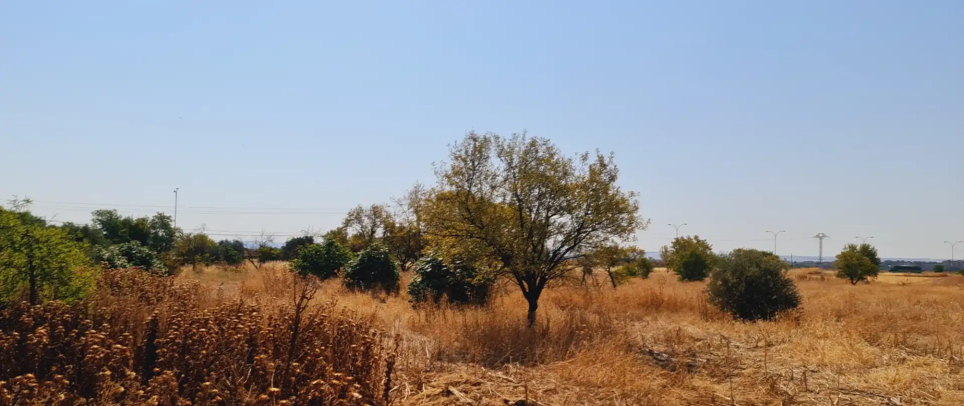 Terreno en venta en Torrejón de Ardoz