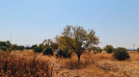 Photo 3 of Land for sale in N/a, Base Aérea, Madrid